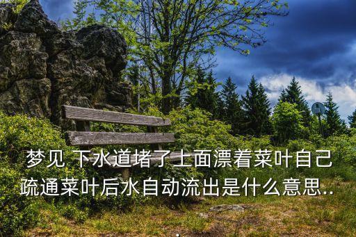 夢見下水道堵了,夢見下水道被封運勢好轉但與人相處切勿獨行