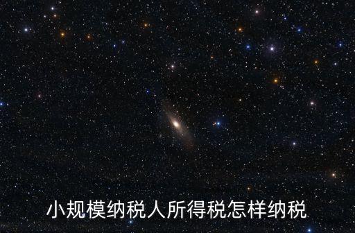 小規(guī)模納稅人所得稅怎樣納稅