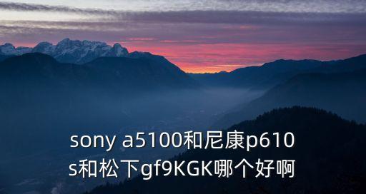 sony a5100和尼康p610s和松下gf9KGK哪個好啊