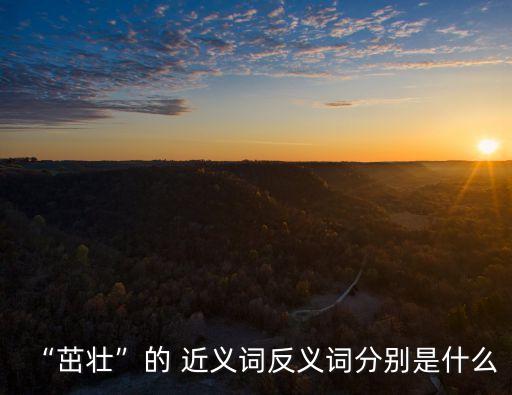 “茁壯”的 近義詞反義詞分別是什么