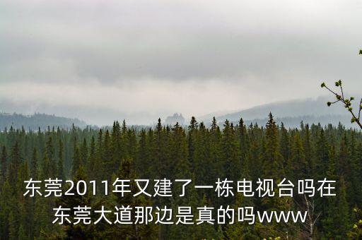 東莞市功夫龍影視傳媒，東莞2011年又建了一棟電視臺嗎在東莞大道那邊是真的嗎www