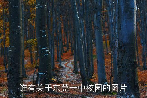 東莞一中的宿舍圖片搜索，東莞第一中學宿舍有沒有空調
