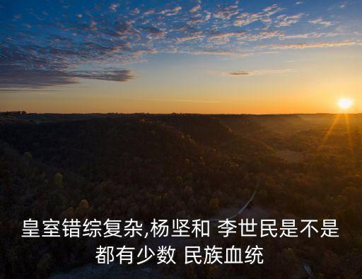 皇室錯綜復(fù)雜,楊堅和 李世民是不是都有少數(shù) 民族血統(tǒng)