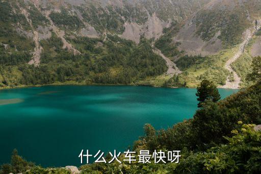 什么火車最快呀
