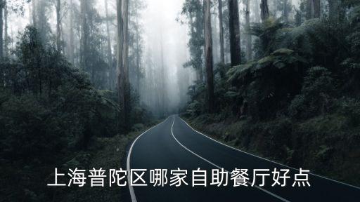 上海普陀區哪家自助餐廳好點