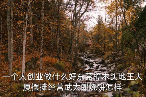 一個(gè)人創(chuàng)業(yè)做什么好東莞樟木頭地王大廈擺攤經(jīng)營武大郎燒餅怎樣