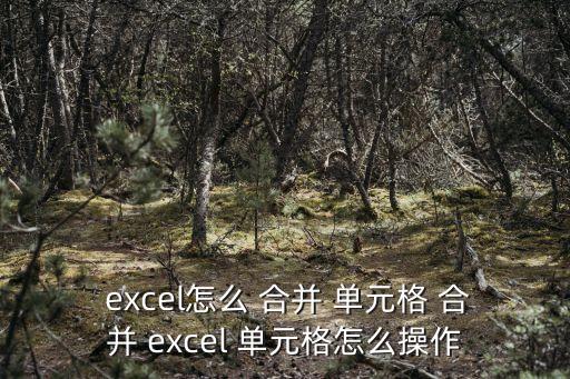 excel表格怎么合并單元格,如何快速合并excel表格?