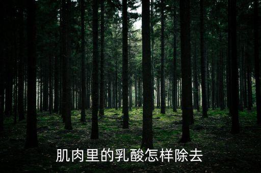 肌肉里的乳酸怎樣除去