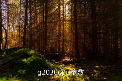 g2030，華碩G2030