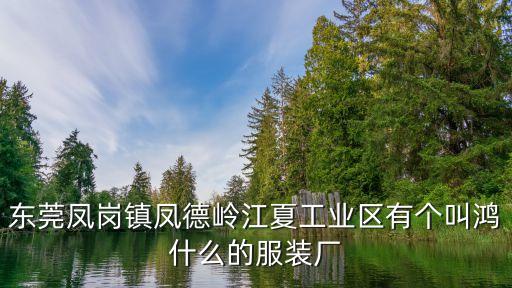 東莞鳳崗鎮鳳德嶺江夏工業區有個叫鴻什么的服裝廠