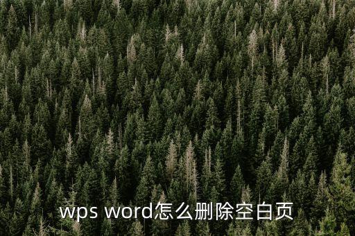 wpsword怎么刪除空白頁，怎樣刪除wps中的空白頁