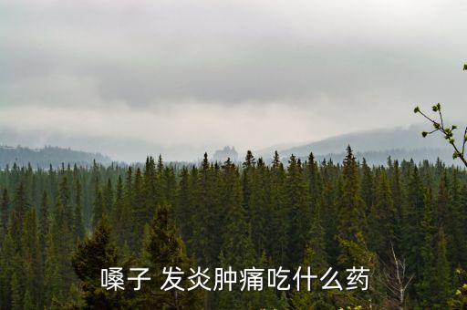  嗓子 發炎腫痛吃什么藥