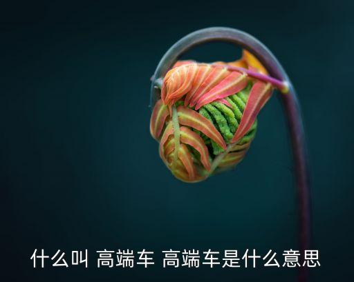 高端車,邁巴赫不是奔馳高端車而是被奔馳收購