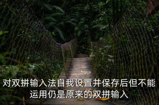 對雙拼輸入法自我設置并保存后但不能運用仍是原來的雙拼輸入