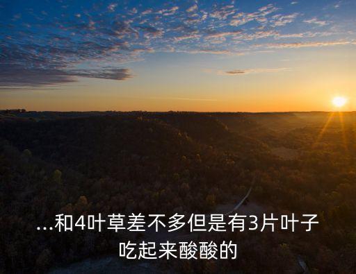 ...和4葉草差不多但是有3片葉子吃起來(lái)酸酸的