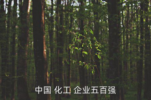 中國 化工 企業五百強