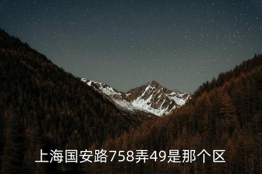 上海國安路758弄49是那個(gè)區(qū)