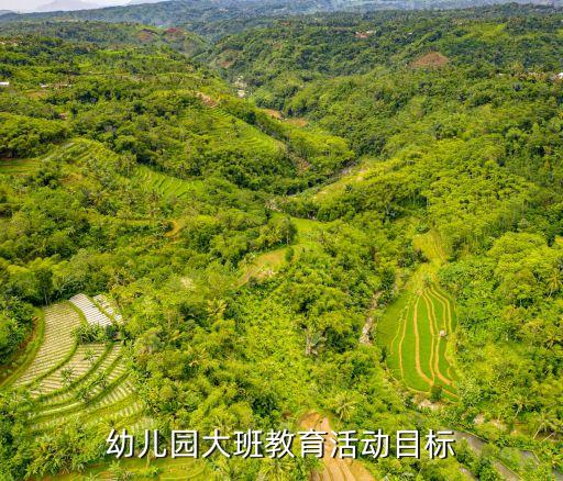 幼兒園大班教育活動(dòng)目標(biāo)