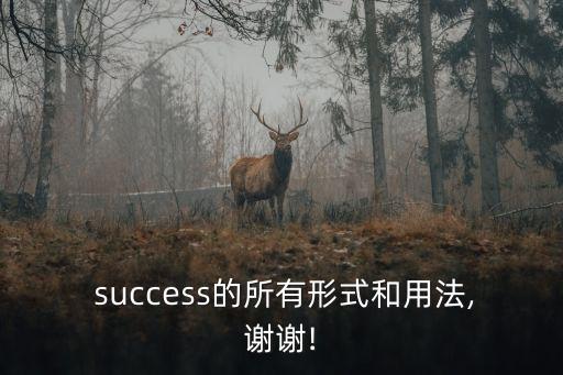  success的所有形式和用法,謝謝!