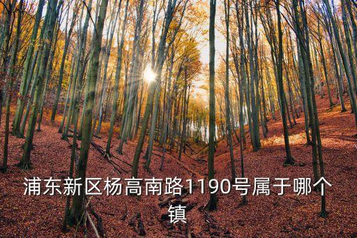 浦東新區楊高南路1190號屬于哪個鎮