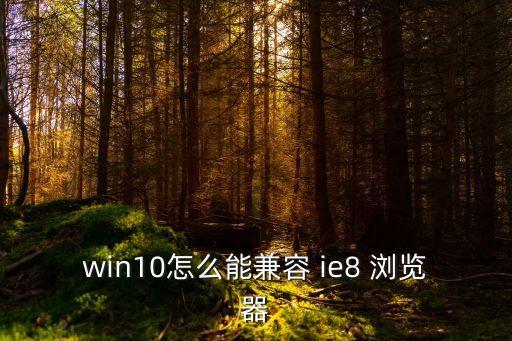 ie8瀏覽器,兼容性差導致顯示不正常怎么重裝ie8瀏覽器?