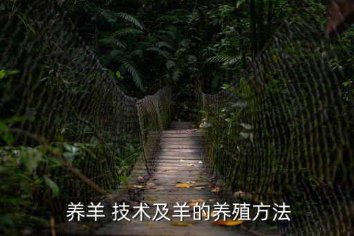技術(shù)養(yǎng)羊,怎么養(yǎng)羊?選址和建筑有講究