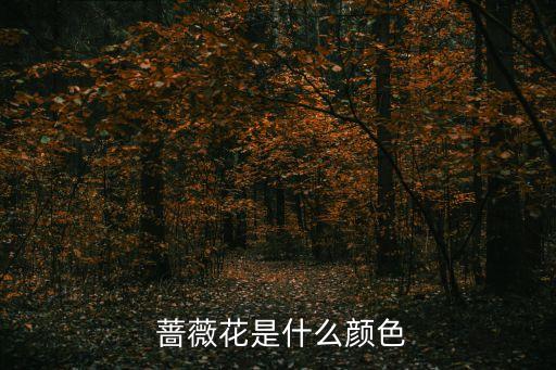  薔薇花是什么顏色
