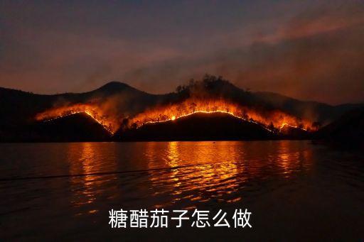 糖醋茄子怎么做