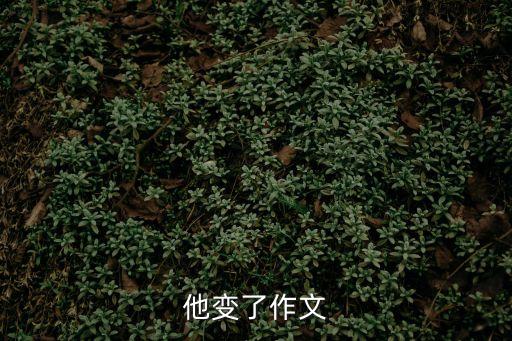 他變了作文