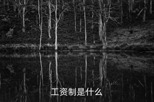 工資制是什么