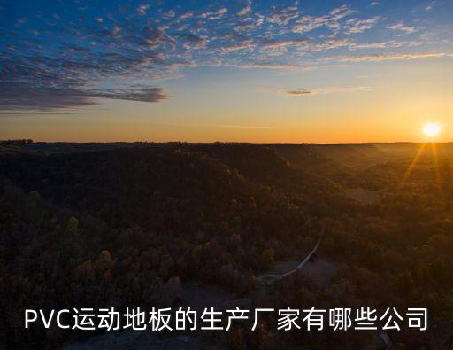 PVC運動地板的生產廠家有哪些公司