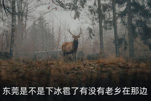 東莞下過冰雹沒，東莞是不是下冰雹了有沒有老鄉在那邊
