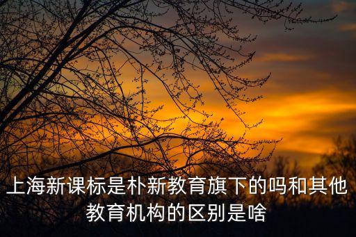 上海市新課標，滬教版和新課標是一樣的嗎