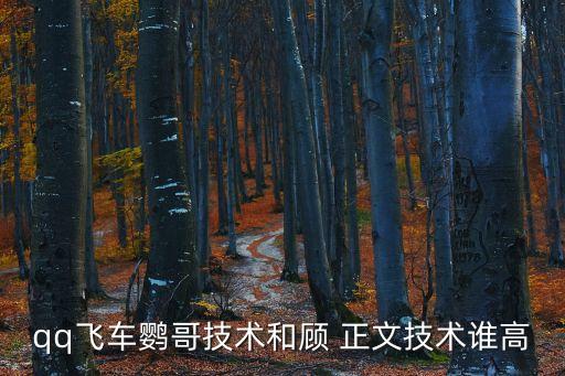 qq飛車鸚哥技術(shù)和顧 正文技術(shù)誰高