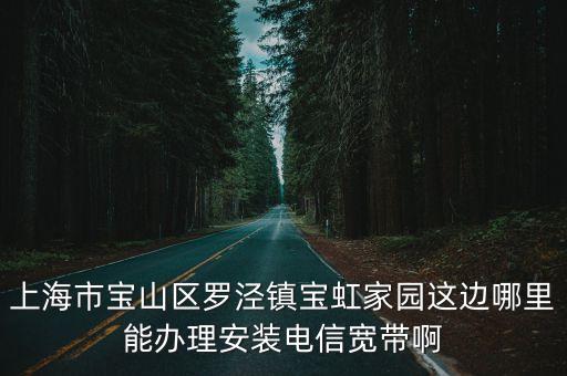 上海市寶山區(qū)羅涇鎮(zhèn)寶虹家園這邊哪里能辦理安裝電信寬帶啊