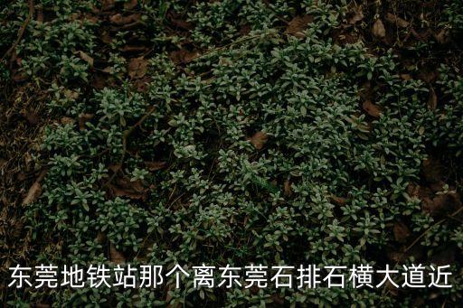東莞地鐵站那個離東莞石排石橫大道近