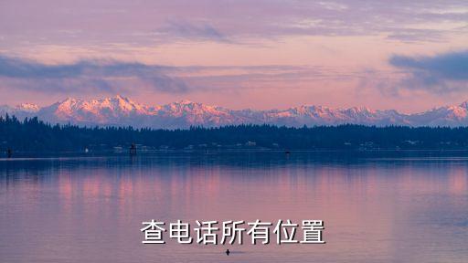 查電話所有位置