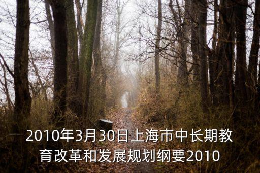 2010年3月30日上海市中長期教育改革和發展規劃綱要2010