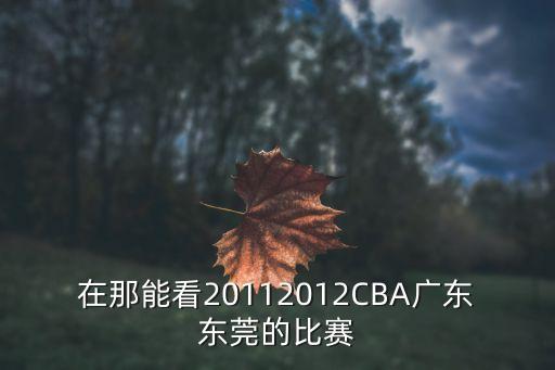 在那能看20112012CBA廣東東莞的比賽