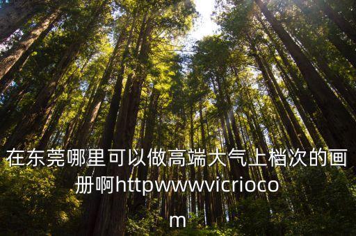 在東莞哪里可以做高端大氣上檔次的畫冊啊httpwwwvicriocom