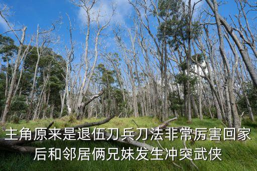 主角原來是退伍刀兵刀法非常厲害回家后和鄰居倆兄妹發生沖突武俠