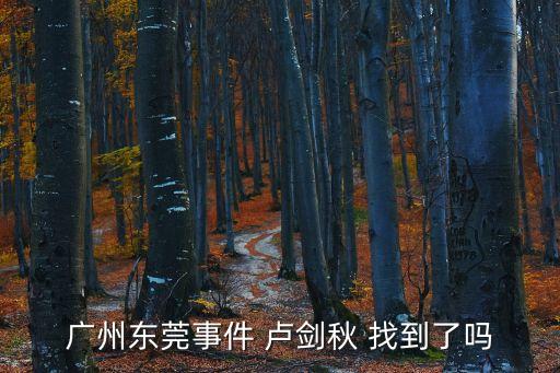 山東官員東莞遇刺，廣州東莞事件 盧劍秋 找到了嗎