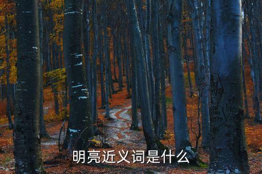 明亮近義詞是什么