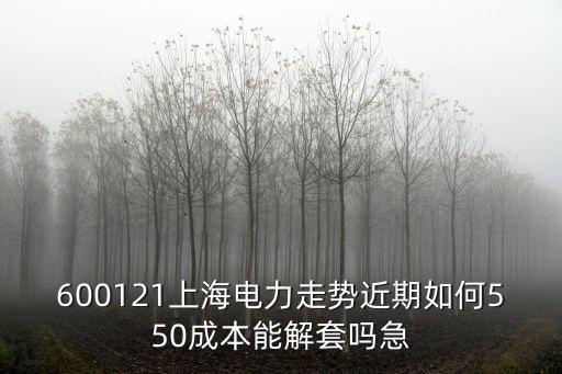600121上海電力走勢近期如何550成本能解套嗎急