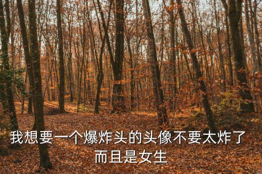我想要一個爆炸頭的頭像不要太炸了 而且是女生