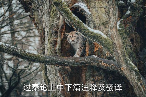 過秦論上中下篇注釋及翻譯