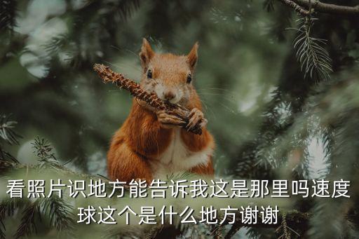 速度球，速度球動(dòng)畫片