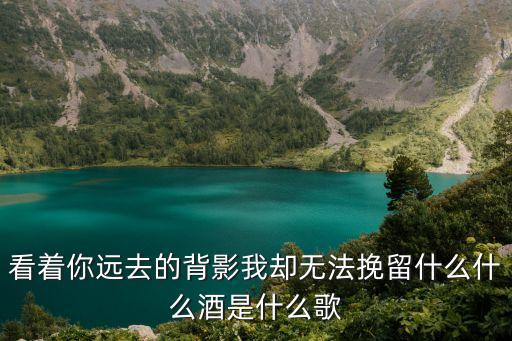 看著你遠去的背影我卻無法挽留什么什么酒是什么歌