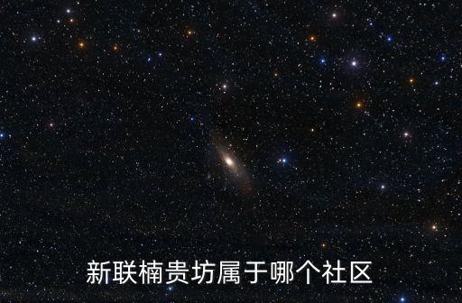 新聯楠貴坊屬于哪個社區
