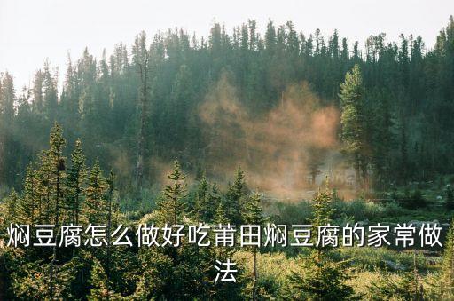 燜豆腐的家常做法，燜豆腐怎么做好吃莆田燜豆腐的家常做法